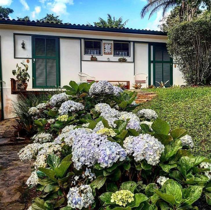 Pinheiros Do Rocio Hotel Petrópolis Buitenkant foto