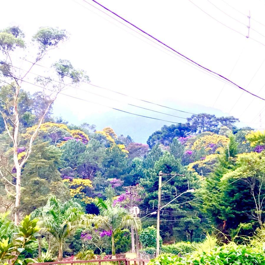 Pinheiros Do Rocio Hotel Petrópolis Buitenkant foto